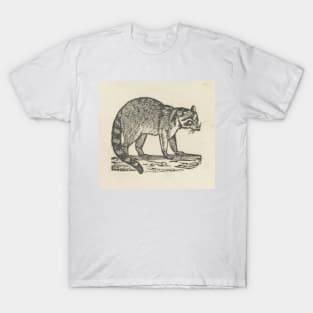 Raccoon Woodcut T-Shirt